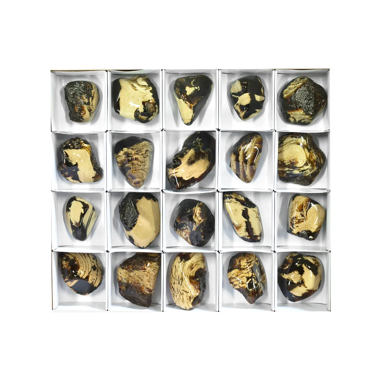 Starborn Milk and Honey Sumatra Amber Collector 1000 g - 20 pieces