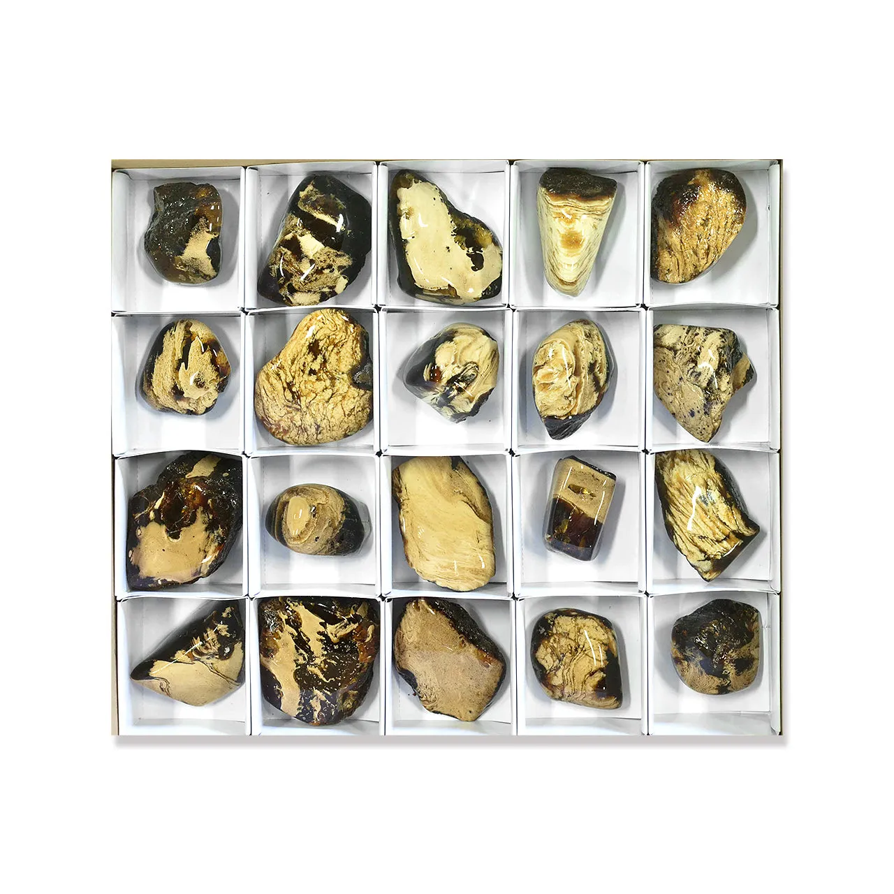 Starborn Milk and Honey Sumatra Amber Collector 1000 g - 20 pieces