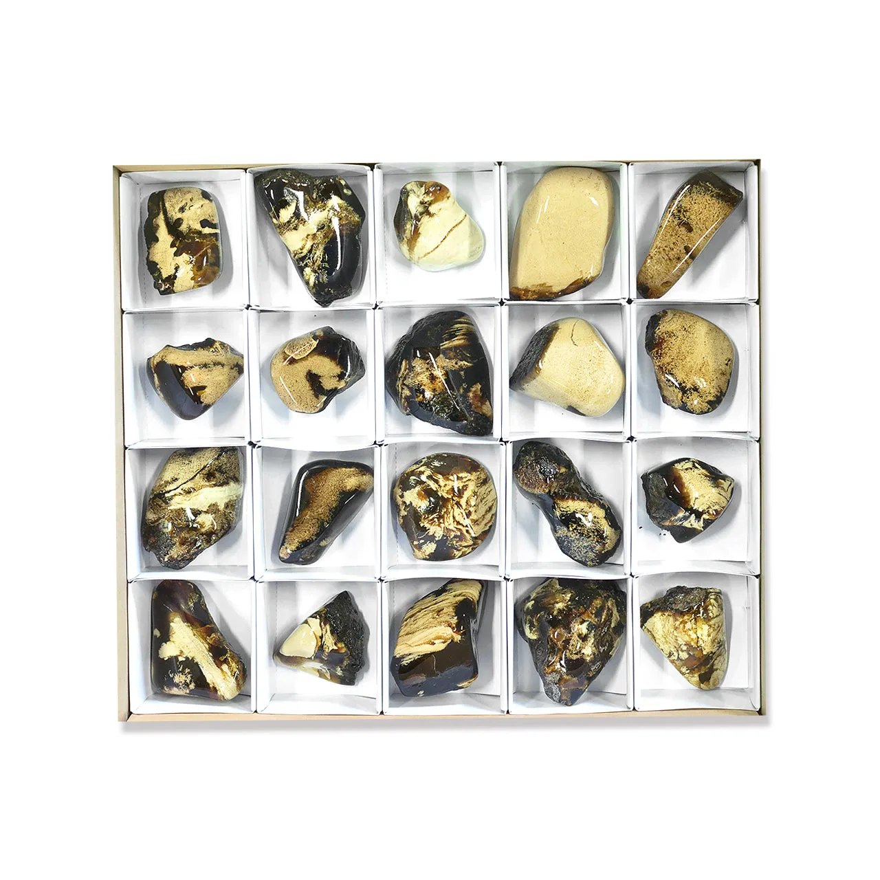 Starborn Milk and Honey Sumatra Amber Collector 1000 g - 20 pieces