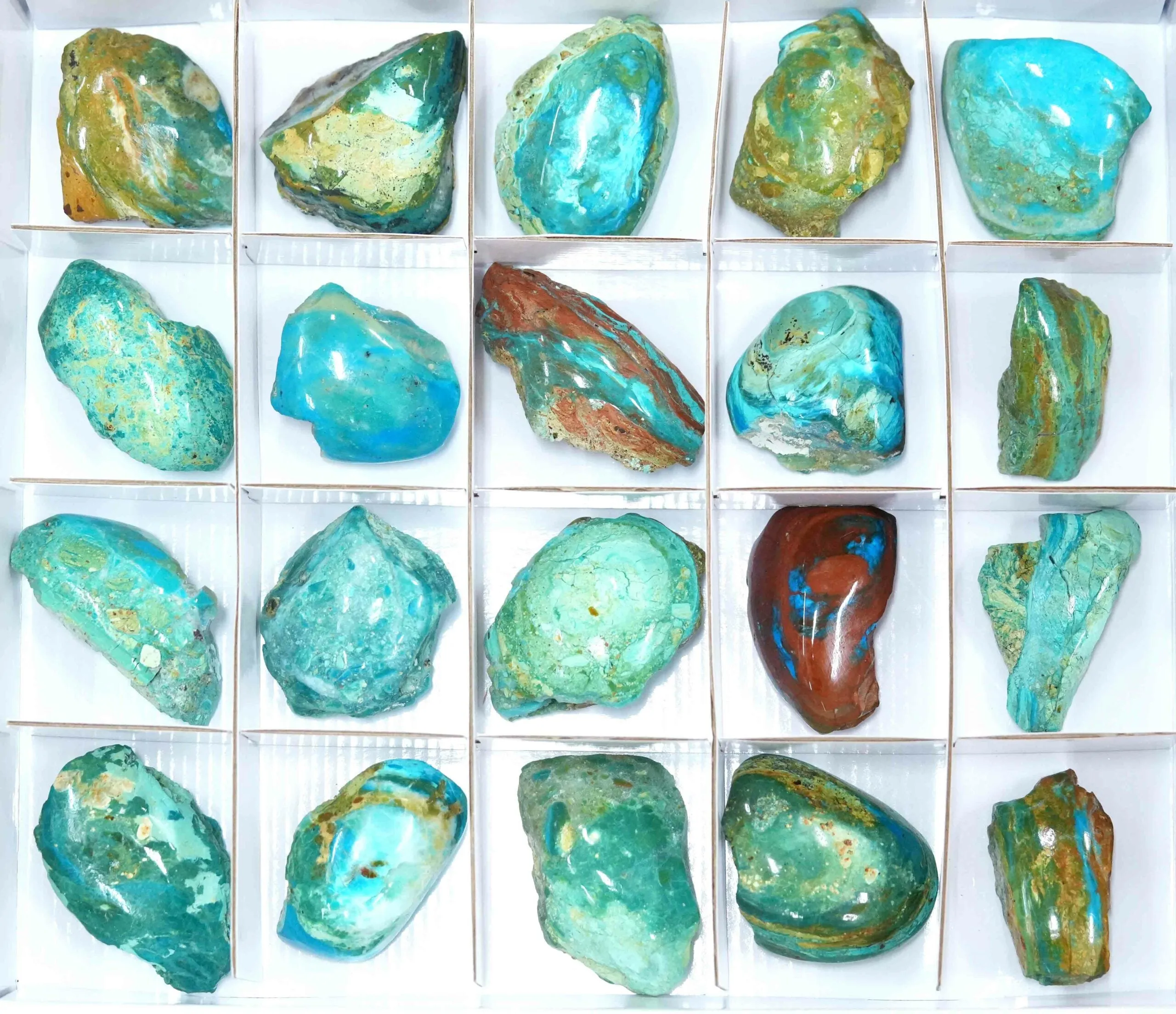 Starborn Semi-Polished Peruvian Blue Opal Collector 1000 grams - 20 pieces