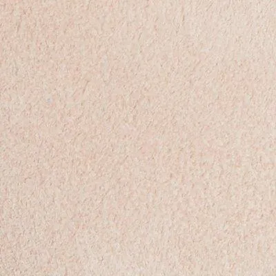 The Sacca Donna Suede