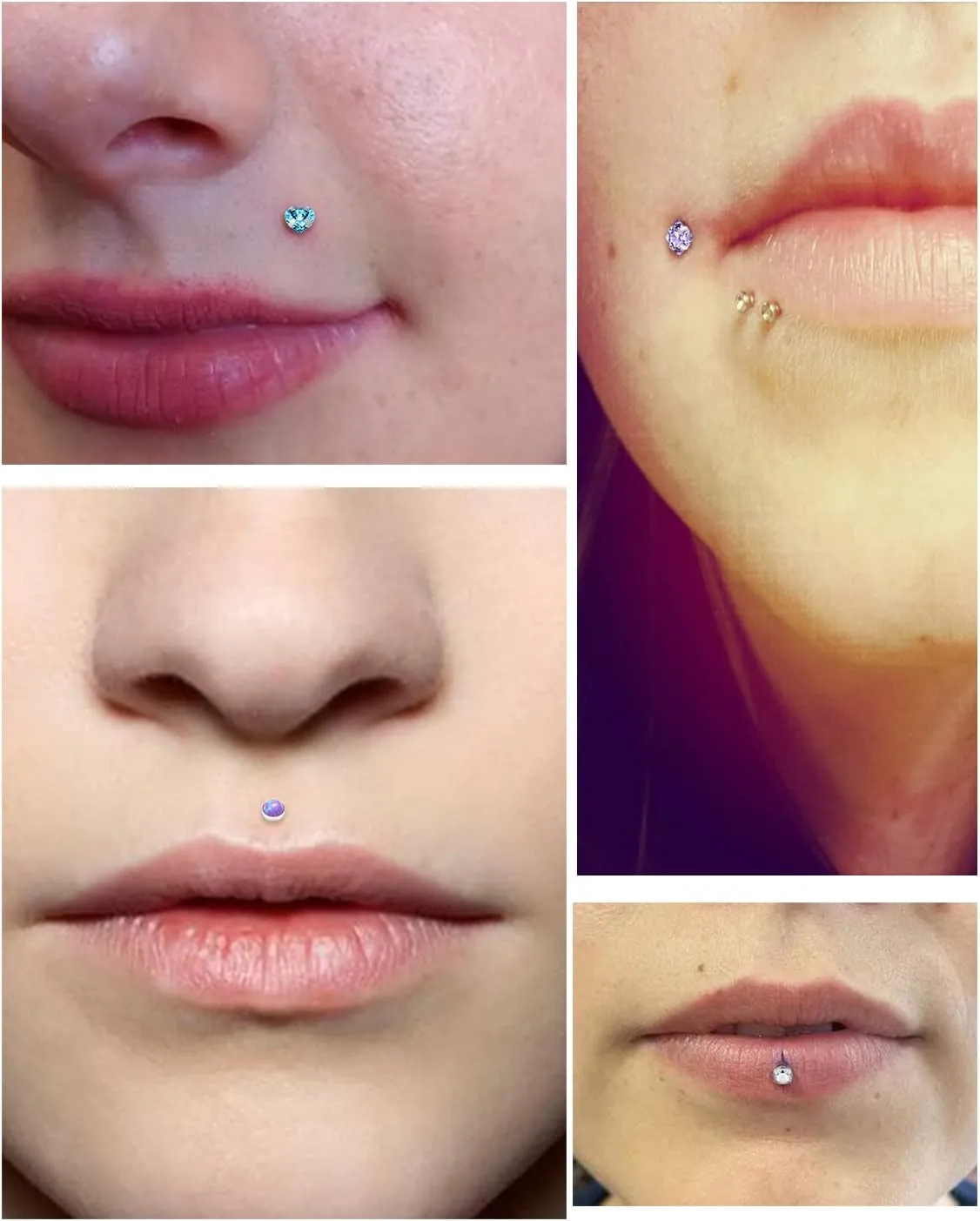 Vsnnsns 14K Gold Plated 16G 18G 20G Threadless Nose Rings Studs Flat Back Earrings Stainless Steel Tragus Helix Conch Earrings Stud Snake Bite Lip Rings Labret Medusa Piercing Jewelry for Women Men